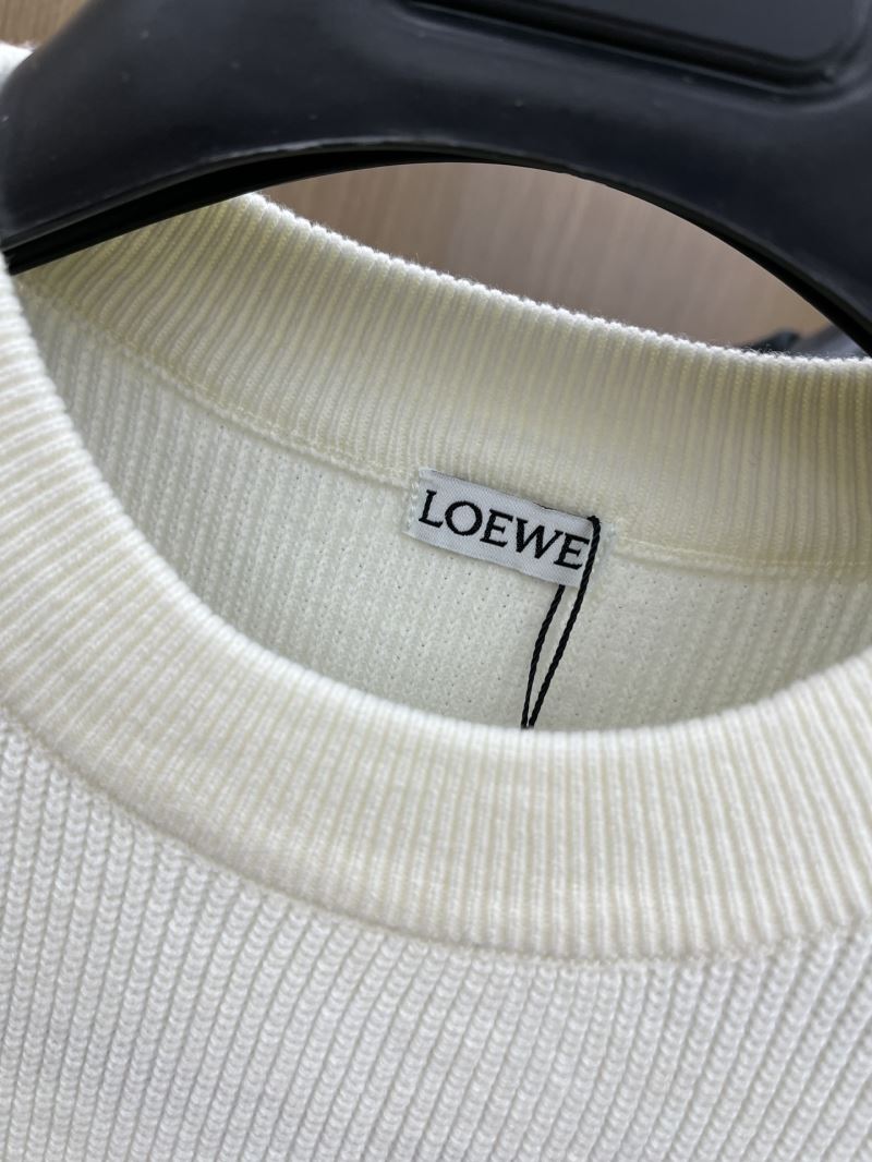 Loewe Sweaters